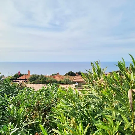 6 Beds With Common Swimming Pool In *